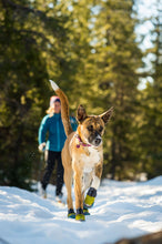 Load image into Gallery viewer, RUFFWEAR POLAR TREX PAIR 1.75"
