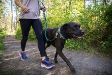 Load image into Gallery viewer, RUFFWEAR WEB REACTION COLLAR 23"-26"

