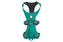 Load image into Gallery viewer, RUFFWEAR FLAGLINE HARNESS LG/XLG
