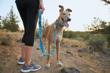 Load image into Gallery viewer, RUFFWEAR WEB REACTION COLLAR 23"-26"
