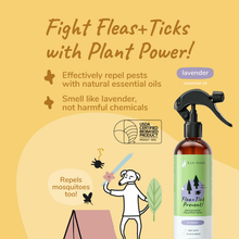 Load image into Gallery viewer, KIN + KIND OUTDOOR SHIELD SPRAY LAVENDER 12OZ
