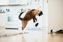 Load image into Gallery viewer, PLAY FELINE FRENZY MICE 2PK
