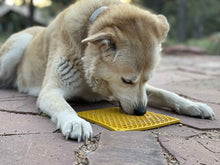 Load image into Gallery viewer, SODAPUP E-MAT HONEYCOMB PATTERN YELLOW 8X8"
