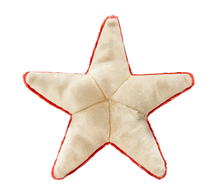 Load image into Gallery viewer, FLUFF &amp; TUFF ZIGGY STARFISH 12"
